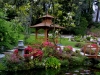 large_japanese_gardens_2_powerscourt_gardens