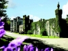 k1024_ballyseede-ext1