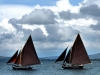 sail-boats