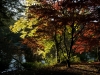 large_gm_120310-_002