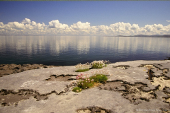 County Clare