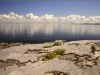large_st_clare_04072011_780