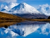 medium_dec_new_21_12_11_05