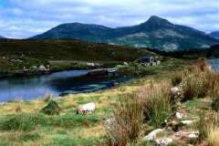 County Galway