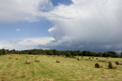 County Longford