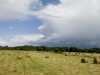 medium_hl1005-778