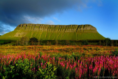 County Sligo
