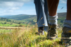 County Tyrone