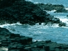 medium_a0023