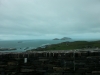 tag4ringofkerry-6